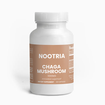 Chaga Mushroom
